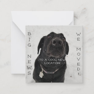 Koel nieuwe locatie! Briefkaart