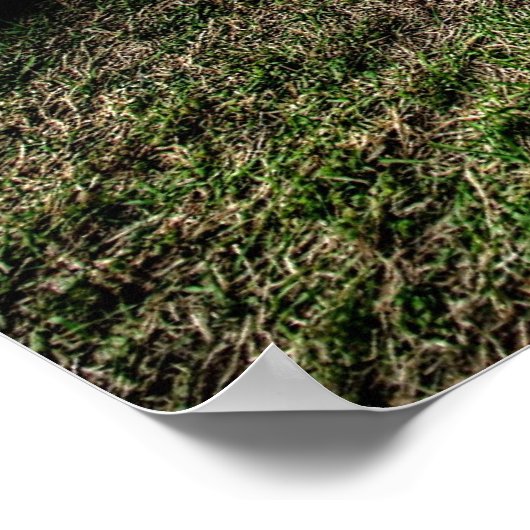 Koel opvlies, warm staafje in HDR. Poster (Hoek)