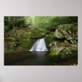 Koel Poster (Voorkant)