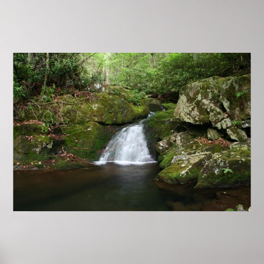 Koel Poster (Voorkant)