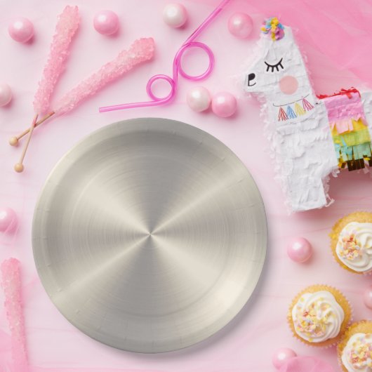 Koel roestvrij staal metaal #99 papieren bordje (Feest)