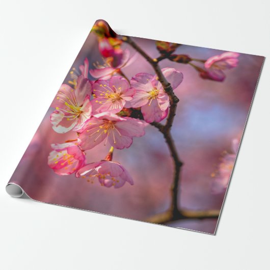 Koel Sakura-bloemen op een Cherry-boom Cadeaupapier (Uitgerold)
