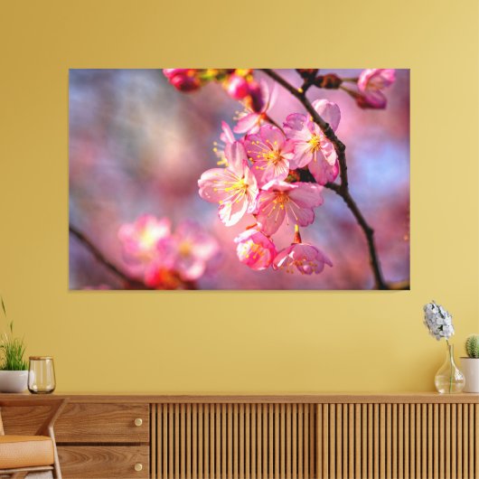 Koel Sakura-bloemen op een Cherry-boom in de tuin Canvas Afdruk (Insitu (Woonkamer))