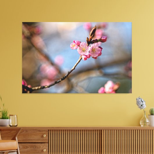 Koel Sakura bloemen tegen de grijze achtergrond Canvas Afdruk (Insitu (Woonkamer))