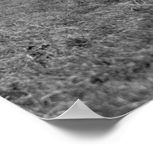 Koel schoonheid: 1926 poster (Hoek)