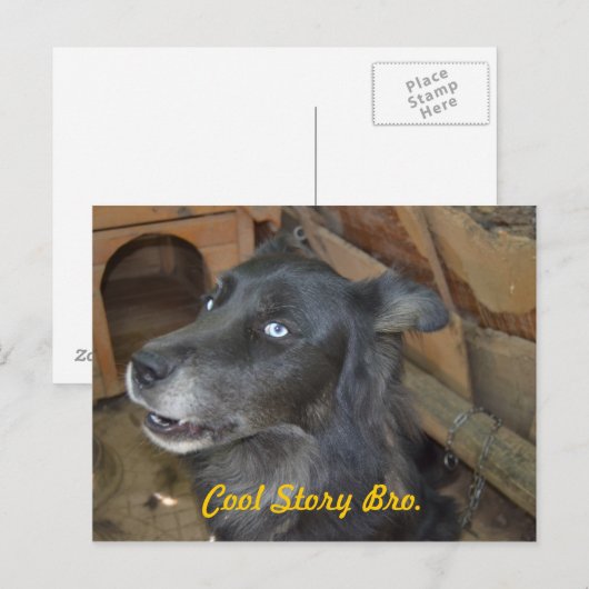 Koel Verhaal Bro Briefkaart (Voorkant / Achterkant)