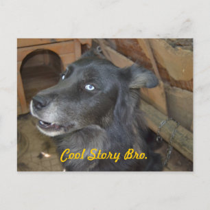 Koel Verhaal Bro Briefkaart