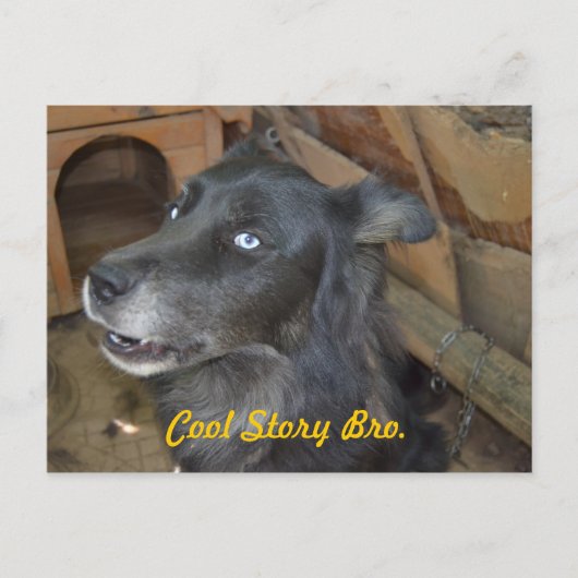 Koel Verhaal Bro Briefkaart (Voorkant)