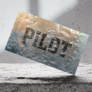 Koel Visitekaartje IJskiloot Pilot/Aviator