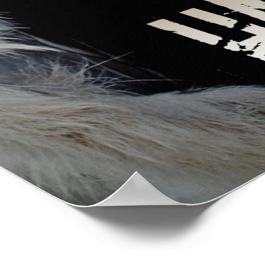 Koel Warrior Poster, geluk! Poster (Hoek)