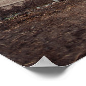 Koel Western meisje met een Turkse fotografie Poster (Hoek)