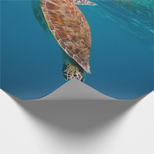 Koel Zee Cadeaupapier (Hoek)