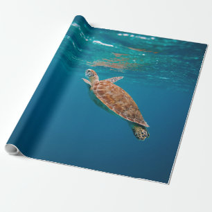 Koel Zee Cadeaupapier