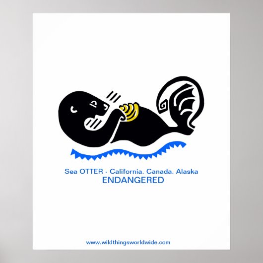 Koel Zee OTTER - Bedreigd dier - Poster (Voorkant)