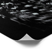 Koel zwart en witte oliet met cyaan-ogen poster (Hoek)