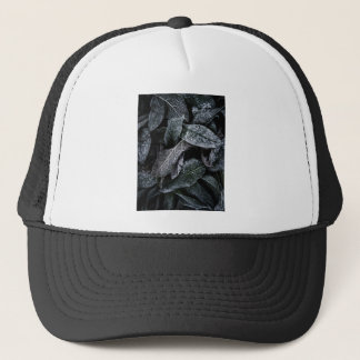 Koelbladeren Trucker Pet