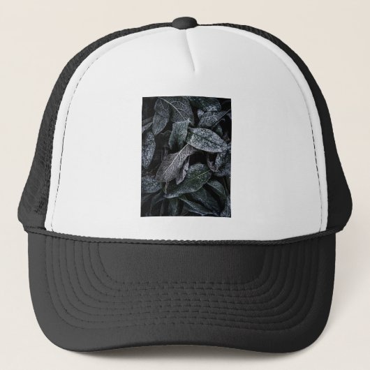Koelbladeren Trucker Pet (Voorkant)