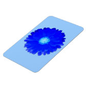 Koelblauwe Goudsbloem Premium Magneet (Linkerzijde)