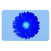 Koelblauwe Goudsbloem Premium Magneet (Horizontaal)