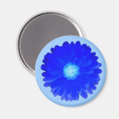 Koelblauwe Marigold-magneet Magneet (Voorkant / Achterkant)