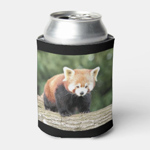 koelbox Foto: red panda, animals 0001. Blikjeskoeler