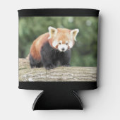 Koelbox Foto rode panda , animal 0001. Blikjeskoeler (Voorkant)