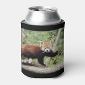 Koelbox Foto rode panda , animal 0069. Blikjeskoeler (Blikje Voorkant)