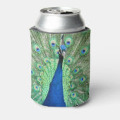 Koelbox - Peacock Portrait Blikjeskoeler (Blikje Achterkant)