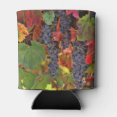 Koelbox van met wijnstok gelijkgestelde  Blikjeskoeler (Achterkant)