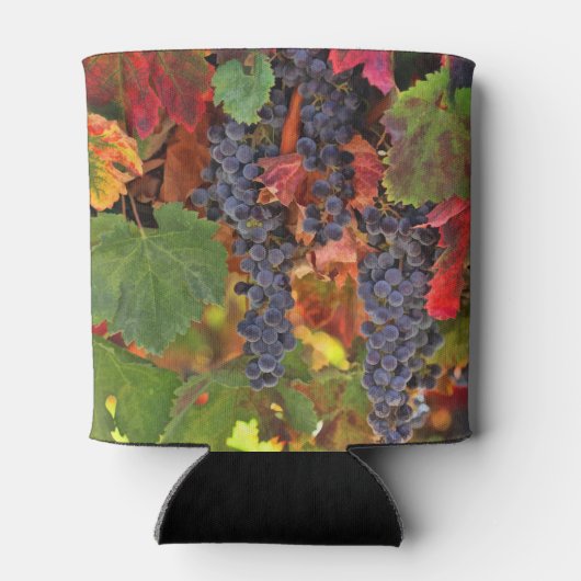 Koelbox van met wijnstok gelijkgestelde Blikjeskoeler (Achterkant)