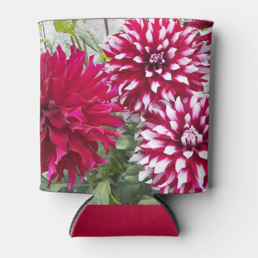 Koelbox van rode en witte Dahlias Blikjeskoeler (Voorkant)