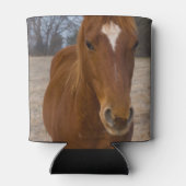 Koelbox voor paardenpest blikjeskoeler (Achterkant)