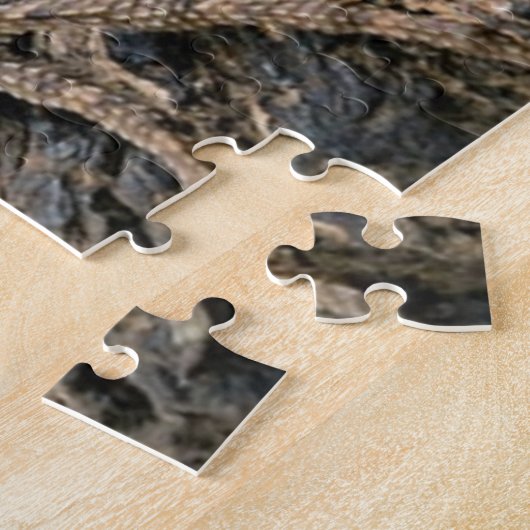 Koelbruinhagedis Legpuzzel (Zijkant)