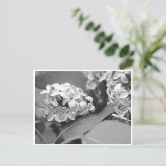 koele bundel leuzen briefkaart (Staand voorkant)