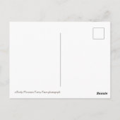 koele bundel leuzen briefkaart (Achterkant)