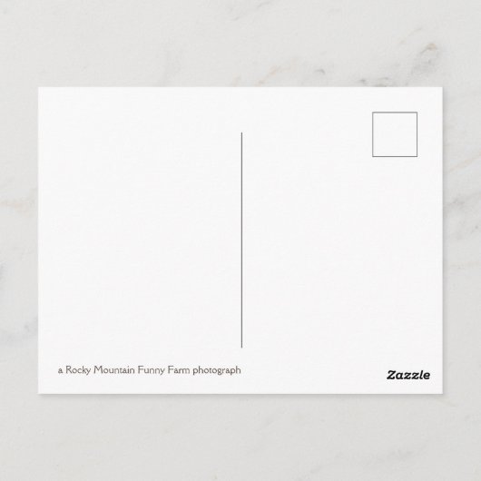 koele bundel leuzen briefkaart (Achterkant)