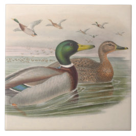 Koele  eenden Decor Keramische tegel Tegeltje