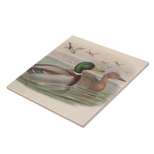 Koele  eenden Decor Keramische tegel Tegeltje (Zijkant)