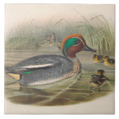 Koele  eenden Decor Keramische tegel Tegeltje (Voorkant)