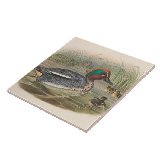 Koele  eenden Decor Keramische tegel Tegeltje (Zijkant)