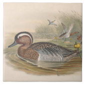 Koele  eenden Decor Keramische tegel Tegeltje (Voorkant)