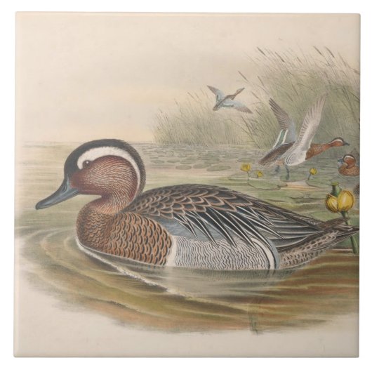 Koele  eenden Decor Keramische tegel Tegeltje (Voorkant)