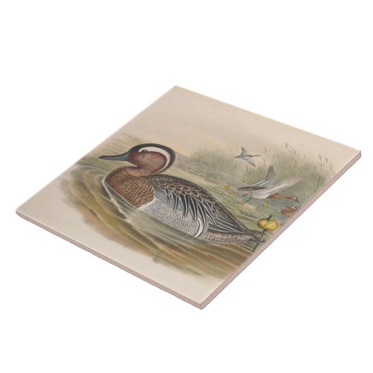 Koele  eenden Decor Keramische tegel Tegeltje (Zijkant)