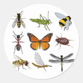Koele Insect Ronde Sticker (Voorkant)