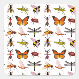 KOELE INSECT VIERKANTE STICKERS
