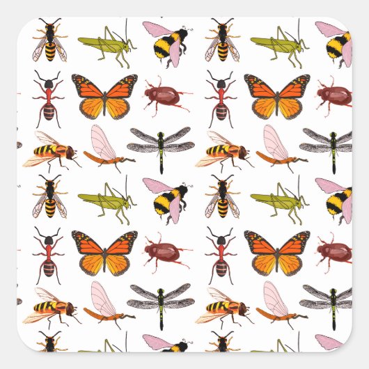  KOELE INSECT VIERKANTE STICKERS (Voorkant)