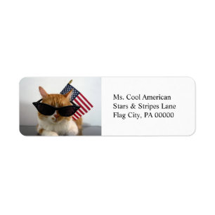 Koele Kat met Amerikaanse Vlag Retouradreslabels Etiket