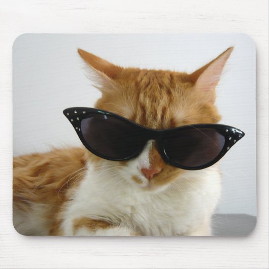Koele Kat met Zonnebril Muismat (Voorkant)