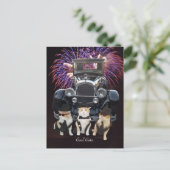 Koele Katten Briefkaart (Staand voorkant)