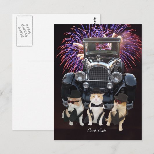 Koele Katten Briefkaart (Voorkant / Achterkant)